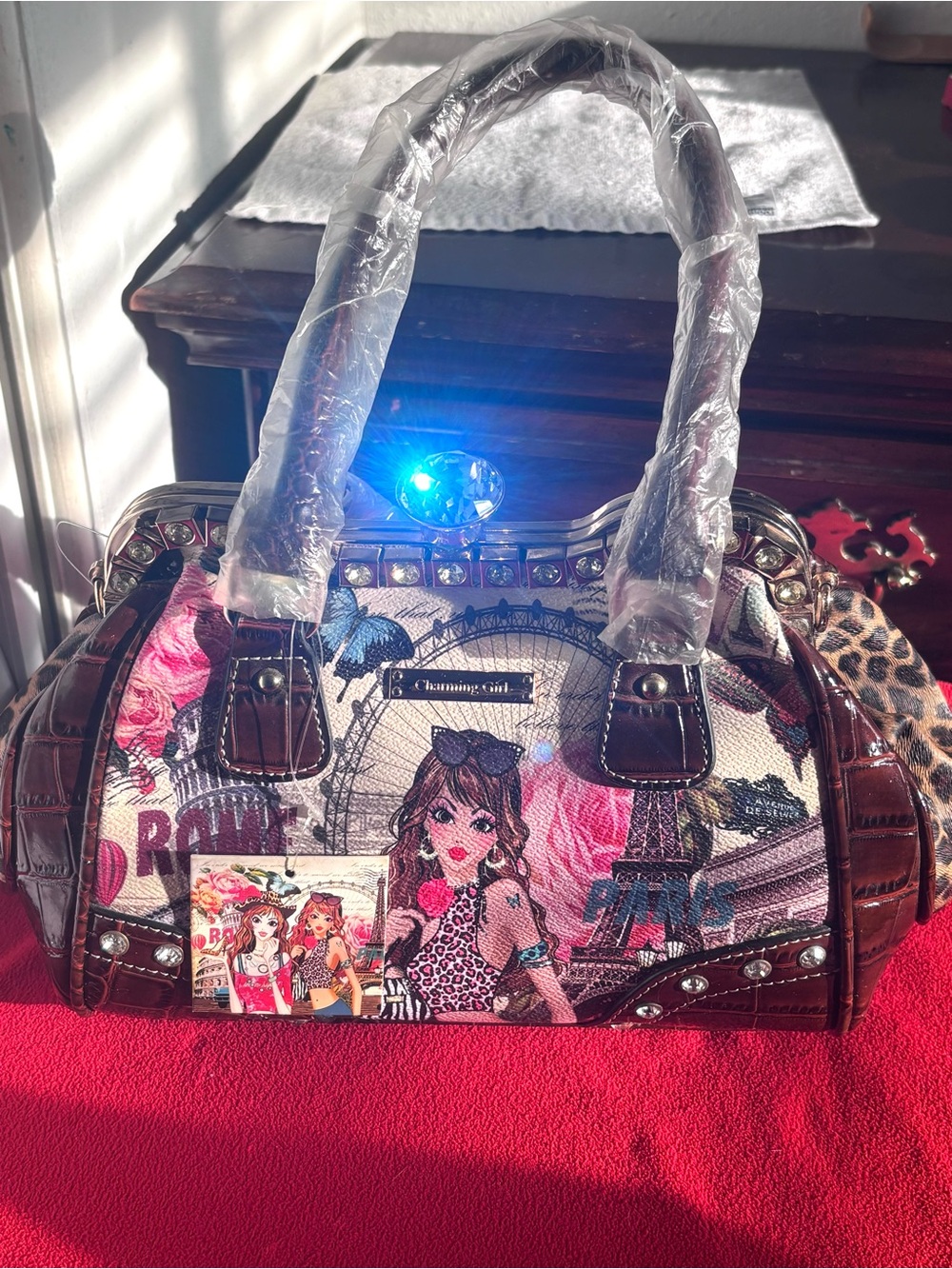 Charming Girl Satchel Handbag - Pink & Brown